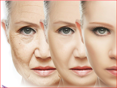 Instant Firmly Neck Face Cream, Anti Wrinkle Whitening Cream
